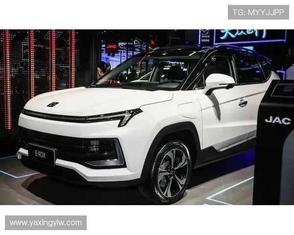 亚星游戏手机版登录入口优化建议，提升登录速度和用户体验